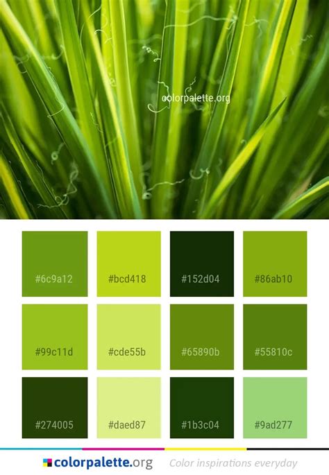 famous greenery color palette ideas