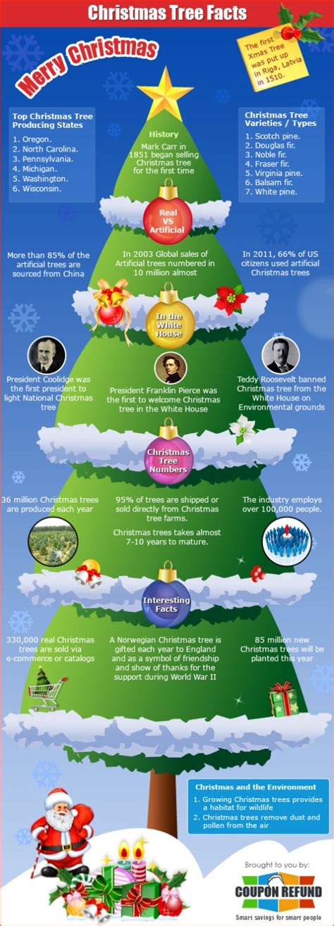 top  christmas tree infographics