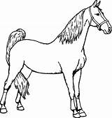 Horse Coloring Pages Printable Horseman Color Colouring Print Sheets Clipart Hors Colorings Getdrawings Miniature Spirit Headless Getcolorings Clipartmag sketch template