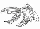 Goldfish Print Coloringme sketch template