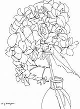Drawing Line Hydrangea Contour Getdrawings Hydrangeas Flower Examples Drawings Single Coloring sketch template