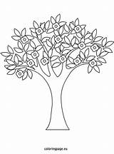 Spring Tree Coloring Pages Trees Flower Preschool Blossom Template Choose Board Stick Visit Post sketch template