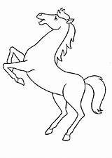 Cheval Colorare Hugolescargot Paard Cavalli Imbizzarrito Horse Caballos Caballo Coloriages Precedenti sketch template