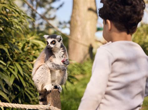 voordelen gratis attractiepas beekse bergen