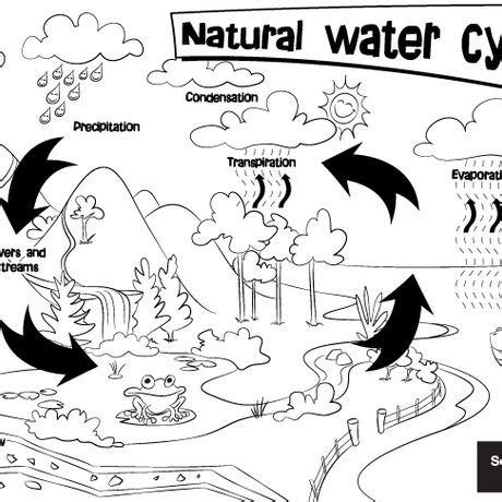 water cycle coloring pages