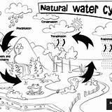 Natural Cycle Water Colouring Sheet Resources Resource Earth sketch template