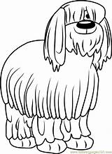 Puppies Sheepdog Niblet Coloringpages101 Designlooter sketch template
