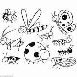 Insectes Insecte Dessiner Insekten Bugs Tampons Kewl Rayés Creavea sketch template