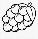 Coloring Grapes Clipart Clipartkey Transparent sketch template
