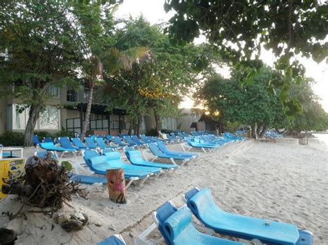 beach on nude side picture of hedonism ii negril tripadvisor