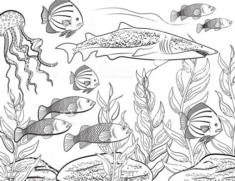 realistic underwater coloring pages   goodimgco