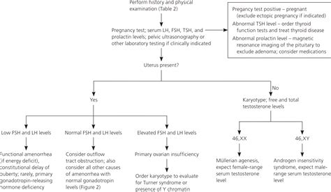 diagnosis of primary amenorrhea a diagnostic approach to