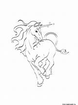Unicorn Coloring Horn Pages Drawing Printable Getdrawings sketch template