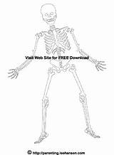 Coloring Skeleton Halloween Printable Pages Muertos Los Dia Template Dead Sheet Parenting Leehansen Poster Visit Skeletons sketch template