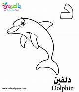Coloring Arabic Alphabet Pages Belarabyapps Printable Letter Kindergarten sketch template