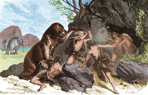 study  ancient humans hunted big mammals  extinction kcur
