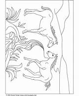 Coloring Running Pages Horses Horse Popular sketch template