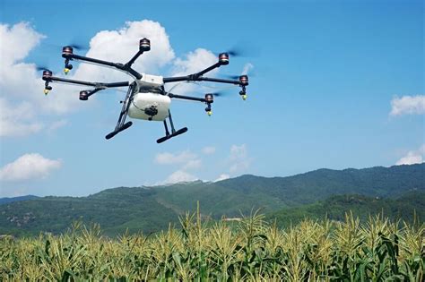 utilizaran drones  la mejorar la agricultura de precision universitam
