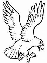 Salvajes Aguila sketch template