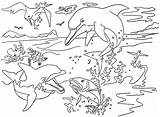Dolphin Coloring Pages River Kids Animals Color Animal Colouring Print Prehistoric Cartoon Sheets Sheet Fish Drawings Dolphins Another Printable Mothers sketch template