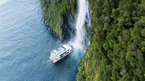 boottocht van queenstown naar milford sound fjord met wild spotten vanaf   checkyeti