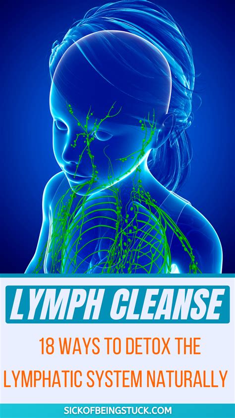 lymph cleanse  ways  detox  lymphatic system naturally