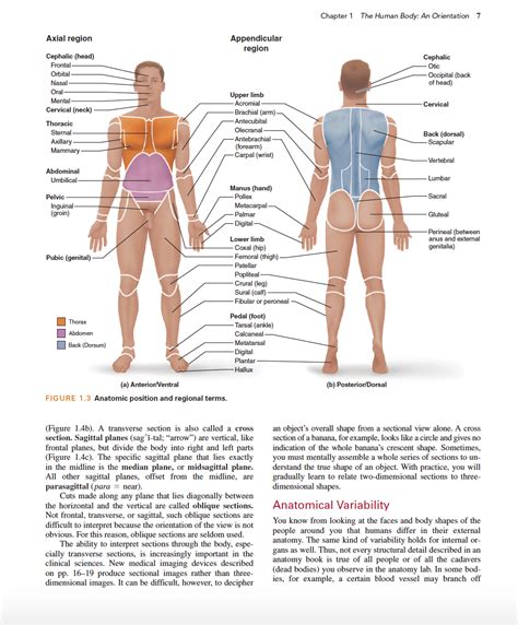 human anatomy media update  edition full