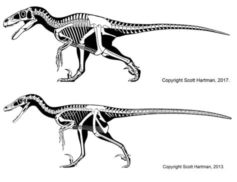 comparison   day utahraptortop  velociraptorbottom dinosaurs