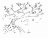 Cherry Blossom Drawing Pencil Tree Easy Japanese Draw Drawings Paintingvalley Collection sketch template