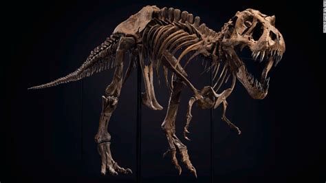 T Rex Skeleton Sells For 31 8 Million Setting New World Record Cnn