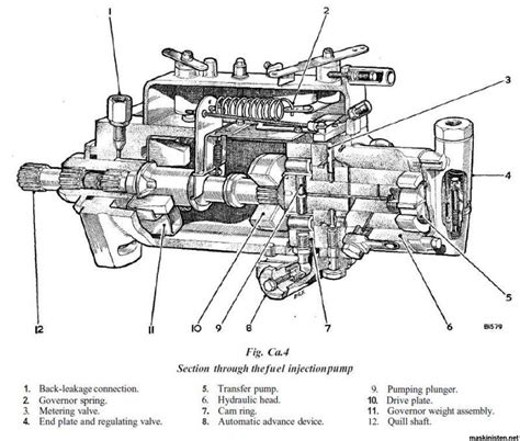 cav  cylinder injector pump diagram google search drive plate automatic transmission cylinder