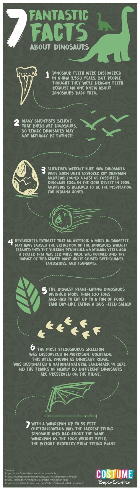 dinosaur facts infographic dinosaur facts infographic