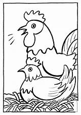 Coloring Chickens Print Pages sketch template