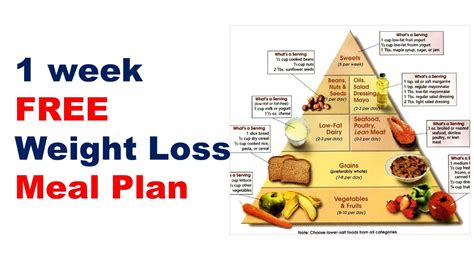 free weight loss meal plan diet plan for weight loss meal plan for losing weight fast youtube