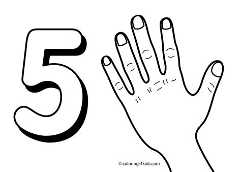 number coloring pages    clipartmag