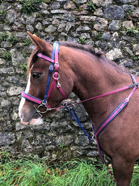 carriage driving harness plas equestrian saddlery driving harness
