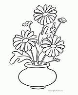 Coloring Daisies Crafthubs sketch template