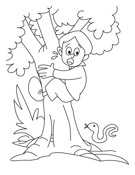 boy  climbing   tree coloring pages    boy