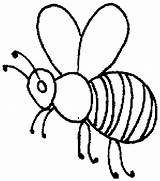 Bee Outline Honey Coloring Pages Drawing Hive Beehive Bumblebee Line Bees Insects Bumble Printable Clip Getdrawings Kids Sky Drawings Getcolorings sketch template