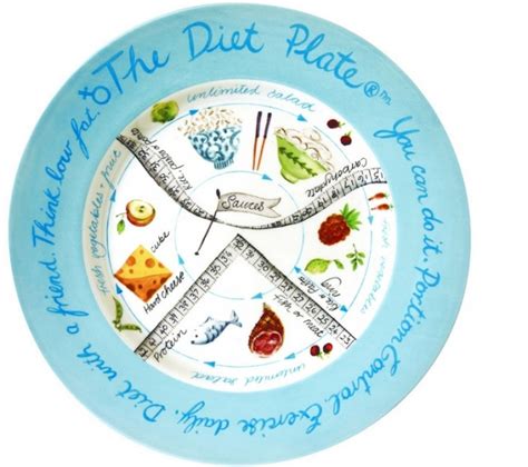 support  healthy eating regime   ingenius diet plate