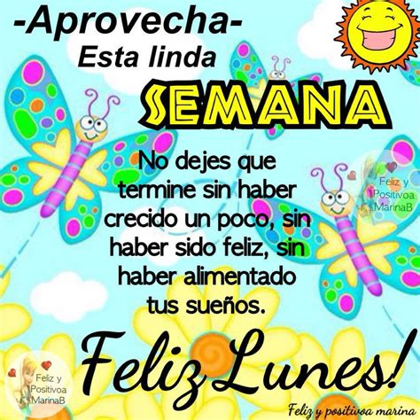 imagenes de feliz lunes  frases positivas