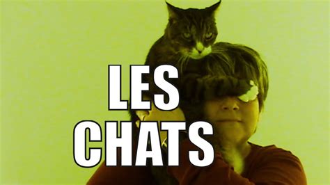 les chats youtube
