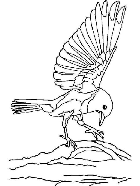 bluebird coloring pages   print bluebird coloring pages