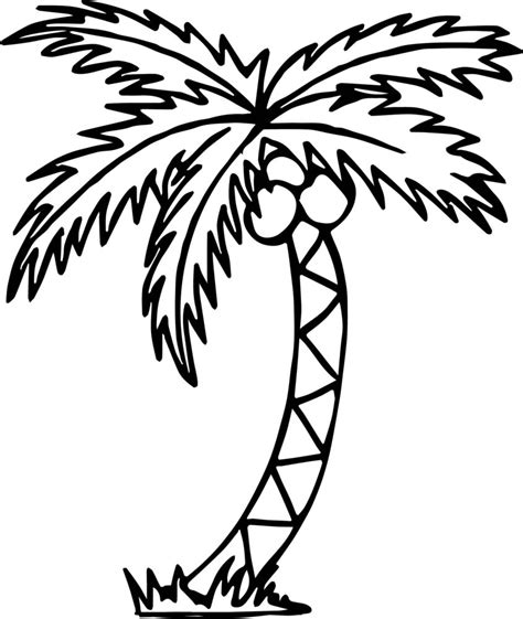 palm tree leaves coloring page coloring pages
