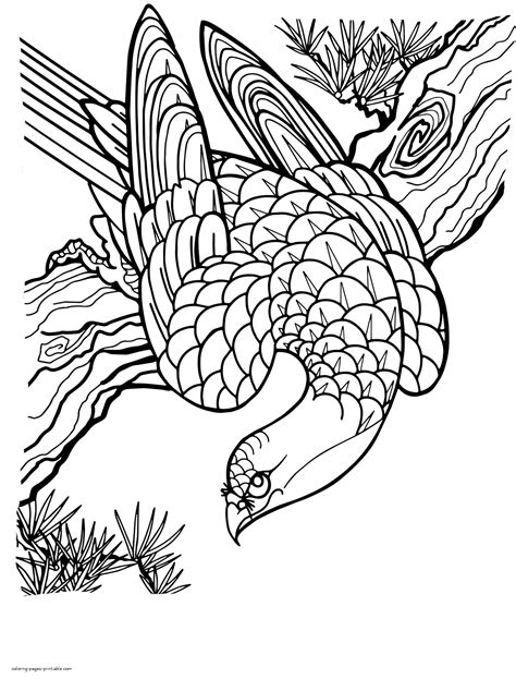 birds  prey coloring pages  adults coloring pages printablecom