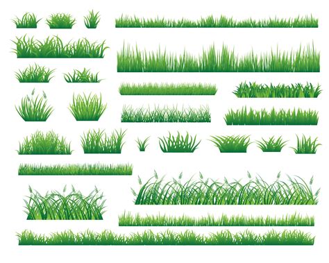 grass vectorgrass cut filegrass silhouettegrass pnggrass svg bundle