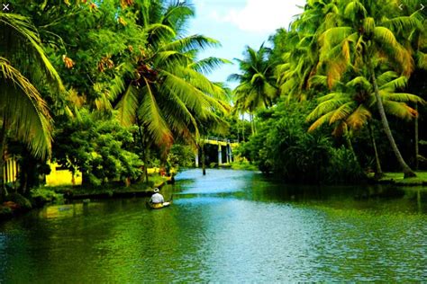 Kerala To Welcome Tourists From Early October Here Are