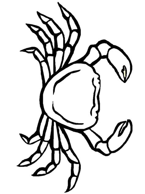 crab coloring pages  print  coloring pages  print coloring