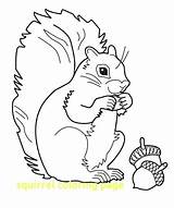 Squirrel Coloring Pages Gray Cartoon Color Preschool Secret Printable Getcolorings Squirell Colorings Worksheets Colouring Trending Getdrawings Template Drawing sketch template
