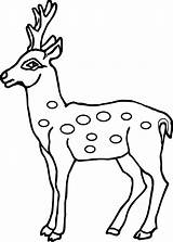 Deer Coloring Pages Spotted Baby Printable Outline Drawing Antler Kids Face Clipart Head Realistic Colouring Drawings Animals Wecoloringpage Animal Print sketch template
